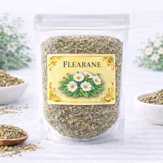 fleabane herb for clearing protection and release