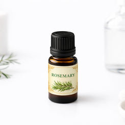 rosemary oil for focus memory and mental strength