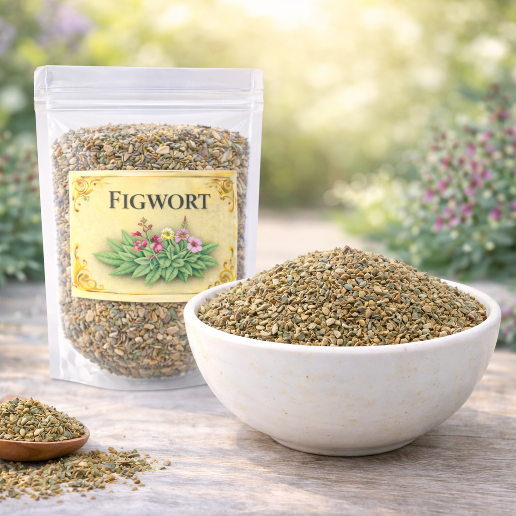 Figwort Herb