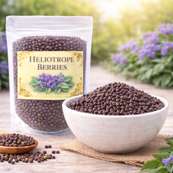 Heliotrope Berries Herb