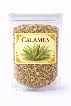 Calamus