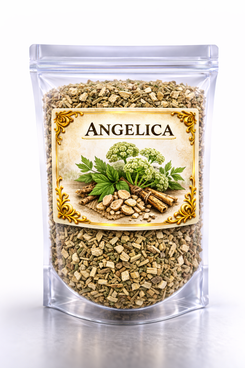 Angelica