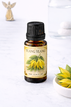 Ylang Ylang Oil