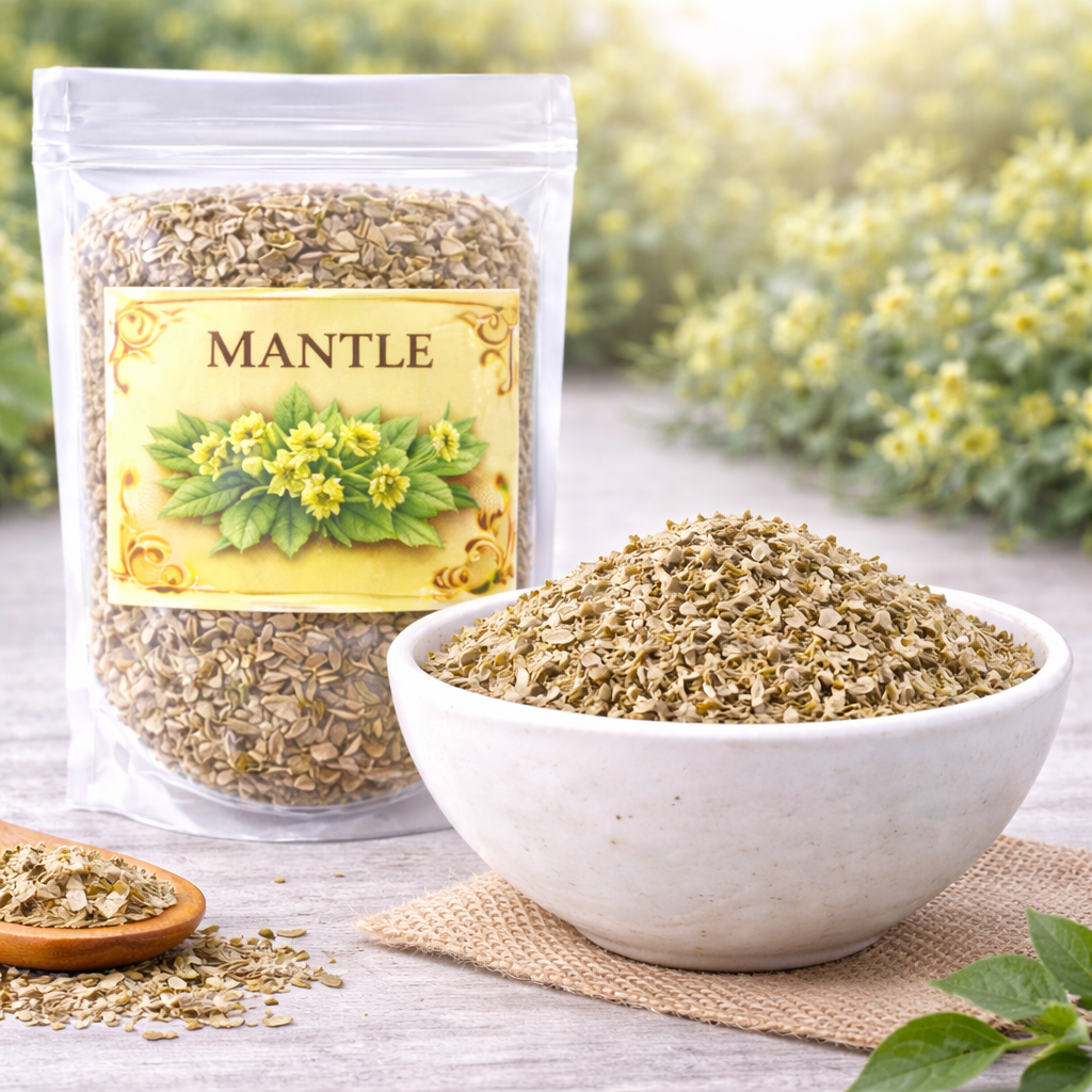 Lady’s Mantle Herb