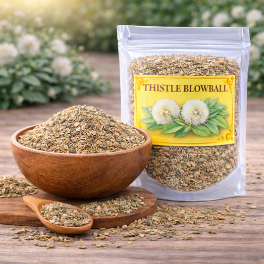 Thistle Blowball Herb