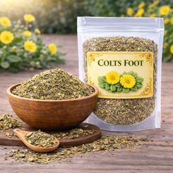 Colts Foot Herb