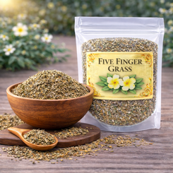 Five Finger Grass Herb