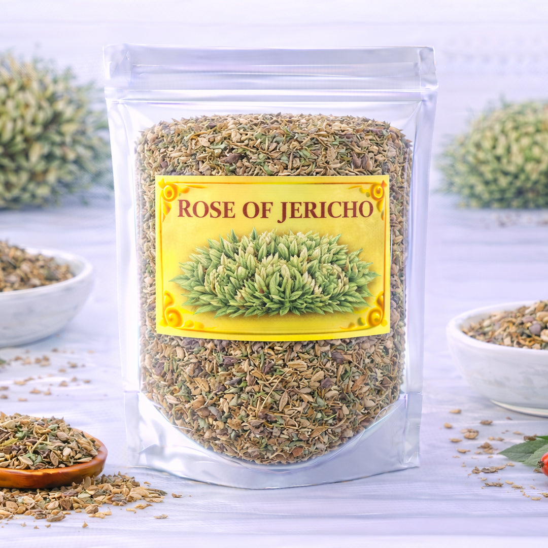 rose of jericho for renewal rebirth and spiritual strength