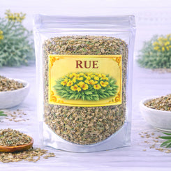 rue herb for protection clearing and energetic defense