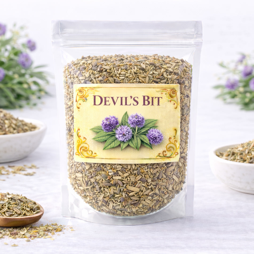 devils bit herb for resilience grounding and endurance