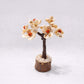 Gomti chakra rudraksha tree for vastu decor