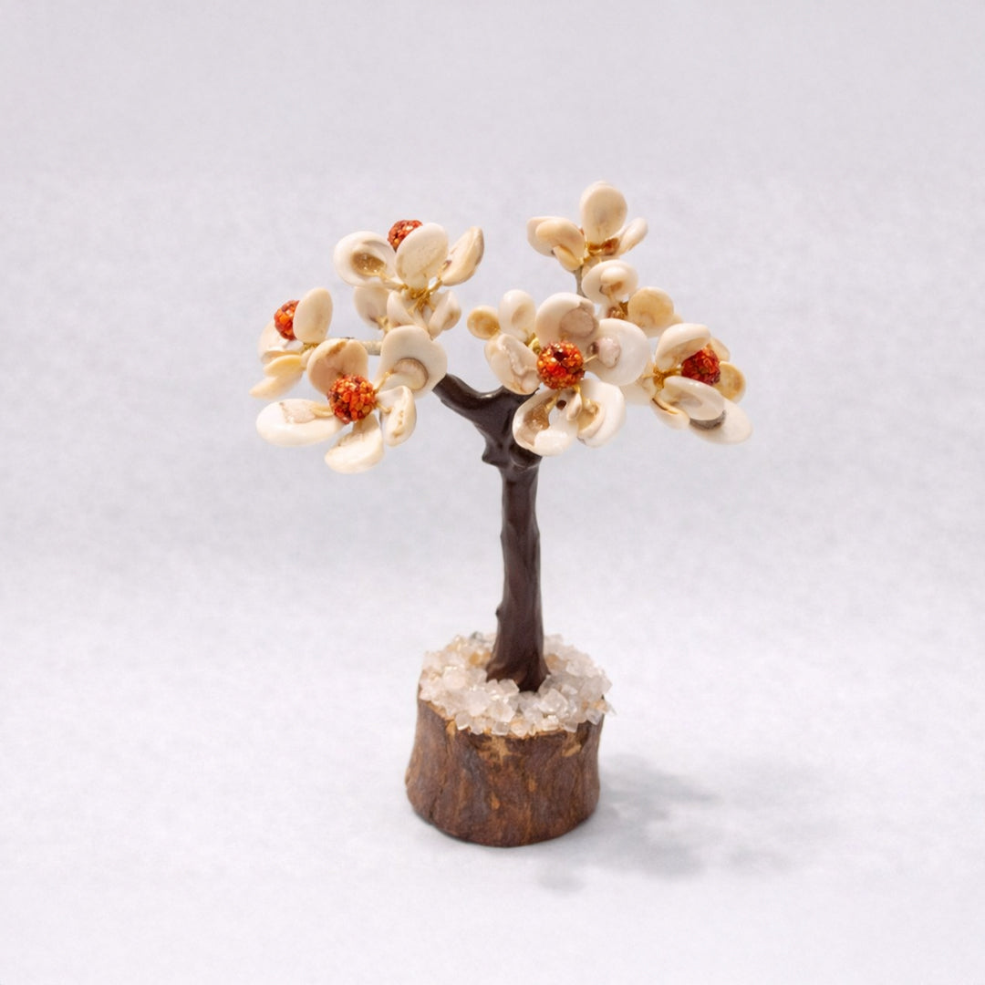Gomti chakra rudraksha tree for vastu decor