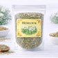 hemlock herb for boundaries deep grounding and transition