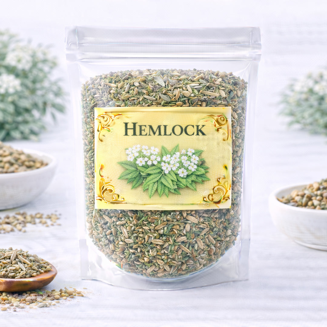hemlock herb for boundaries deep grounding and transition