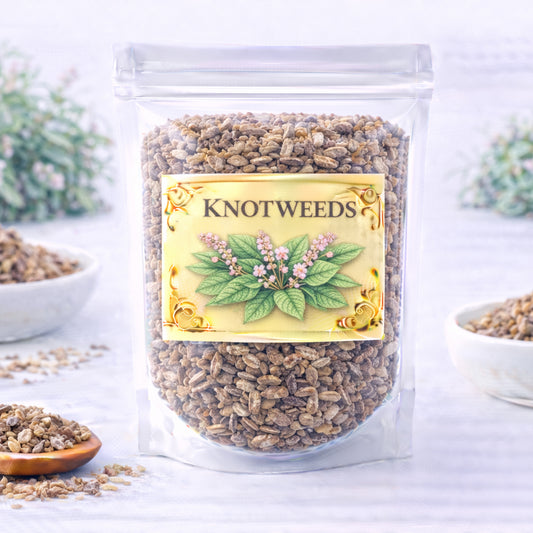 knotweed herb for release flexibility and renewal