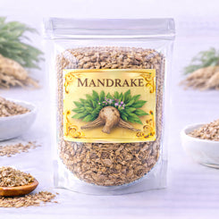 mandrake root for transformation protection and depth