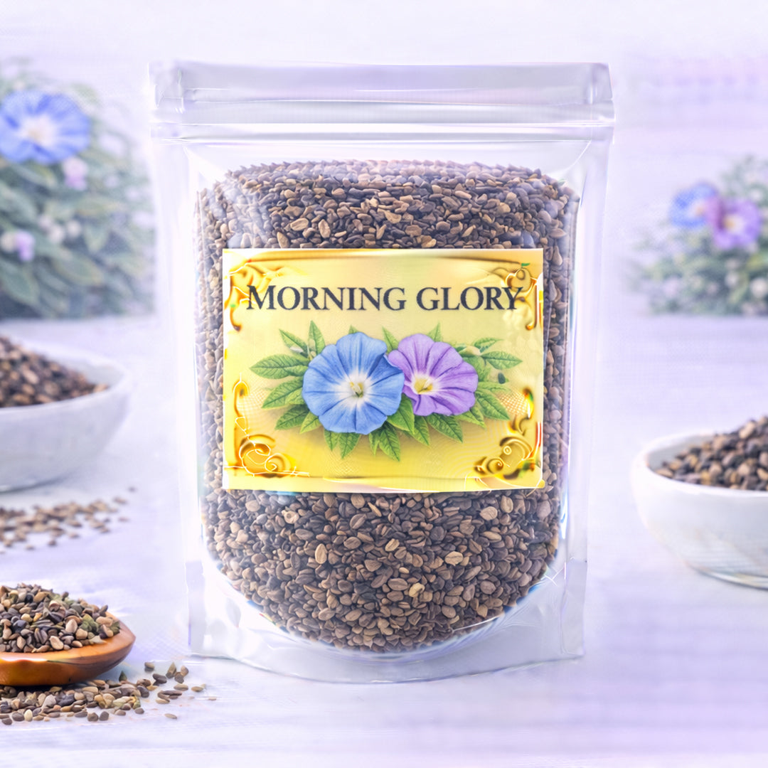 morning glory flower for hope renewal and positive energy