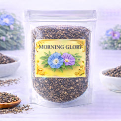 morning glory flower for hope renewal and positive energy