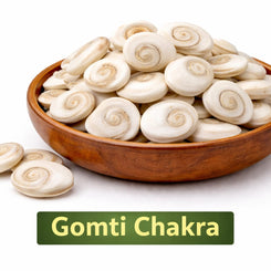 gomti chakra for pooja vastu and rituals