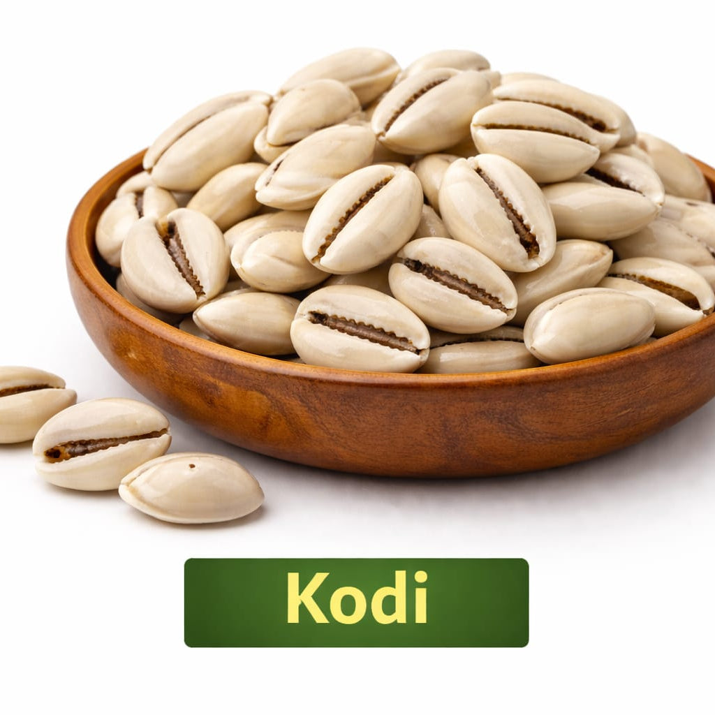 kodi shells for pooja rituals and offerings