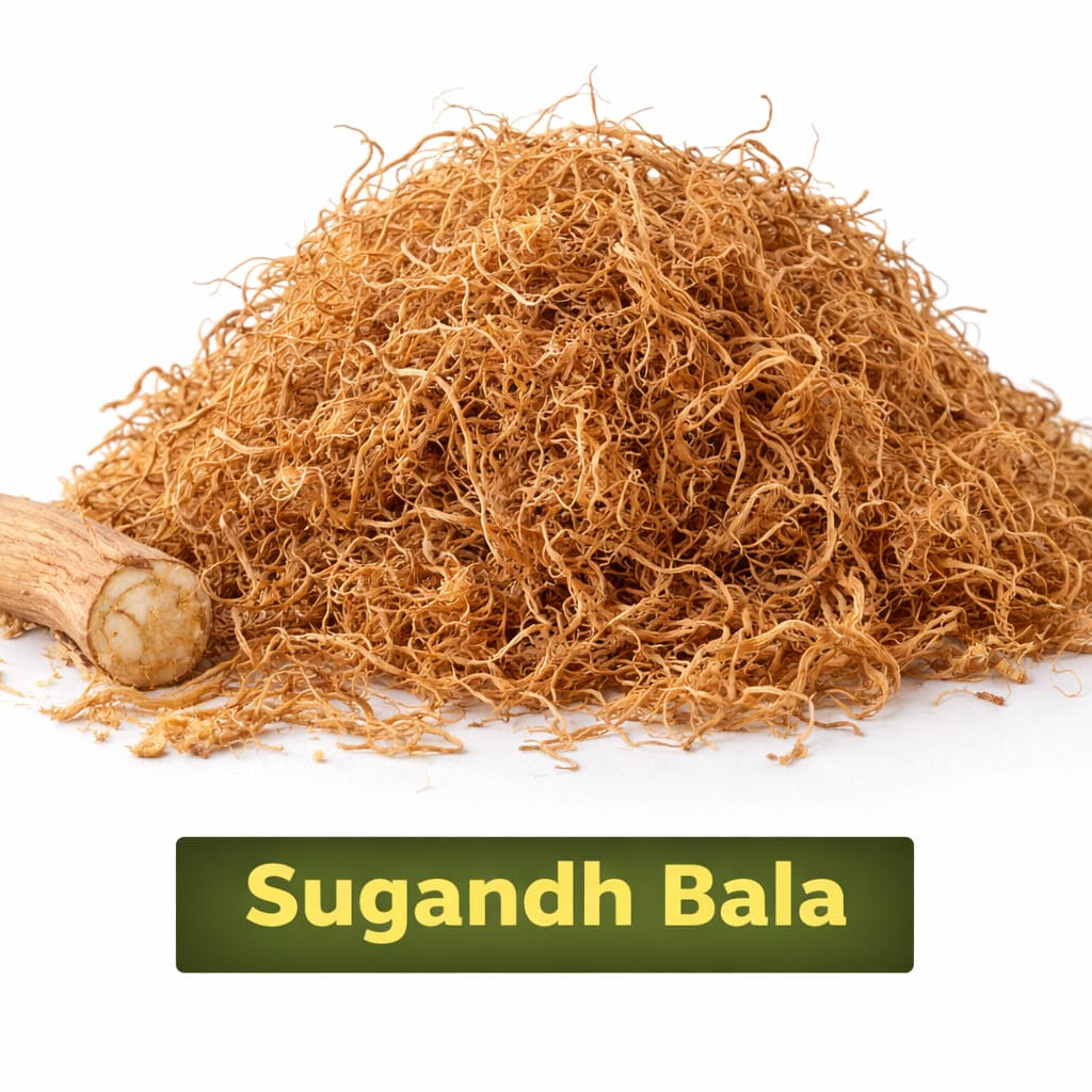 sugandh bala for pooja fragrance and rituals