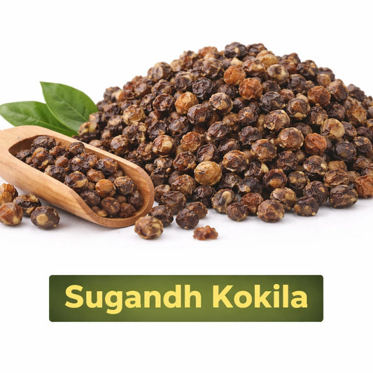sugandh kokila for pooja and ritual use