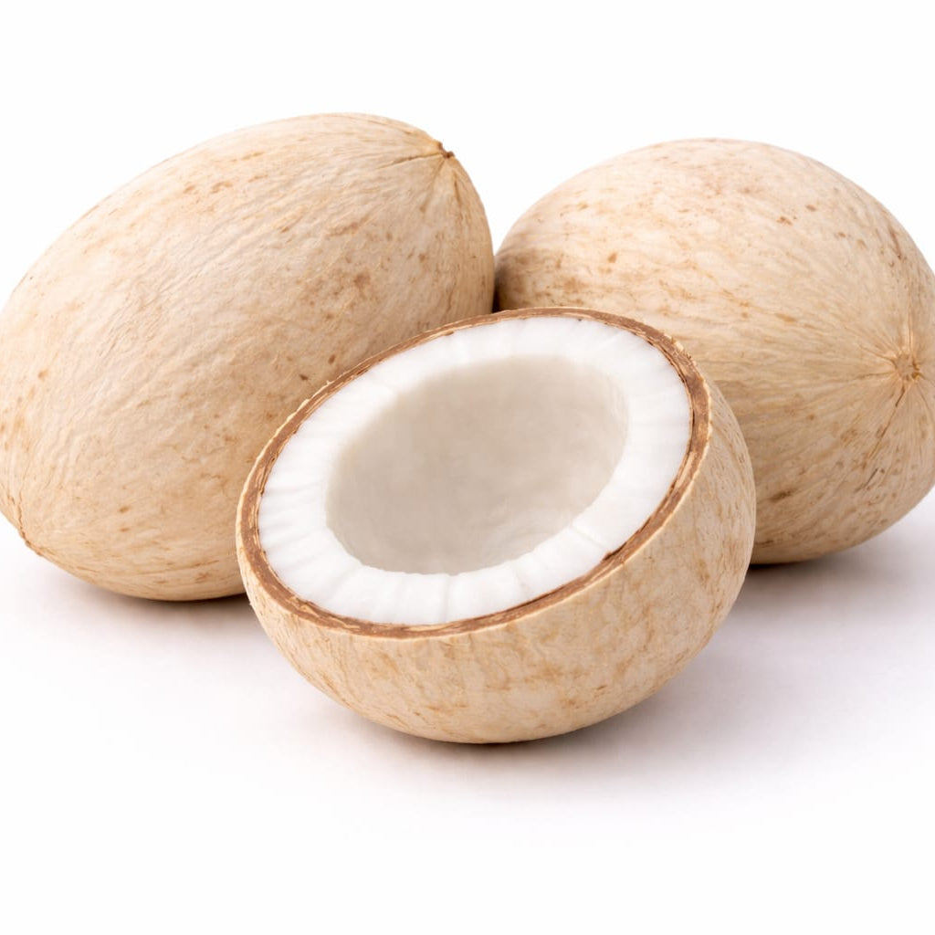 coconut for pooja offerings and rituals